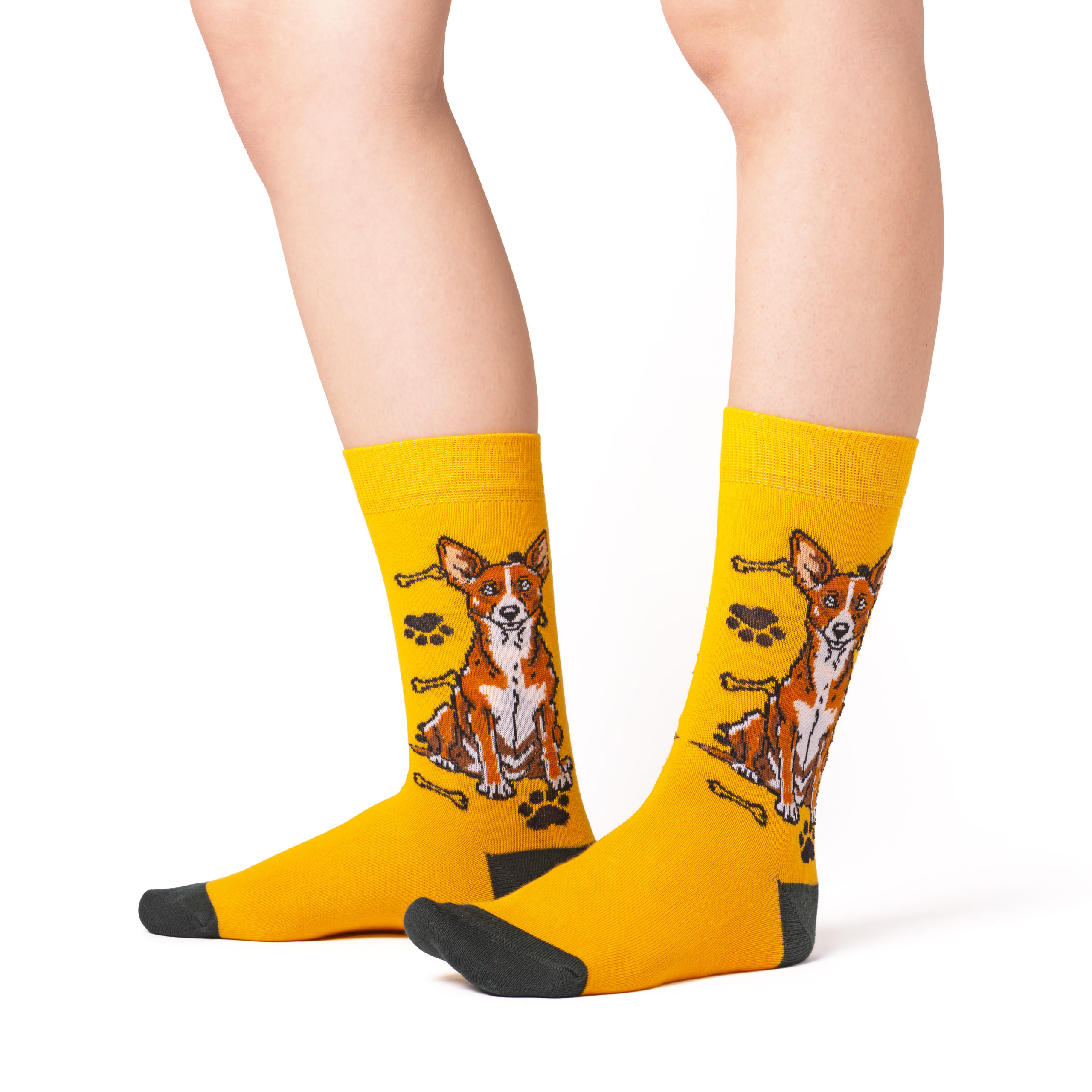 Skarpety w Pieski Rasa Basenji LONG - obrazek 2