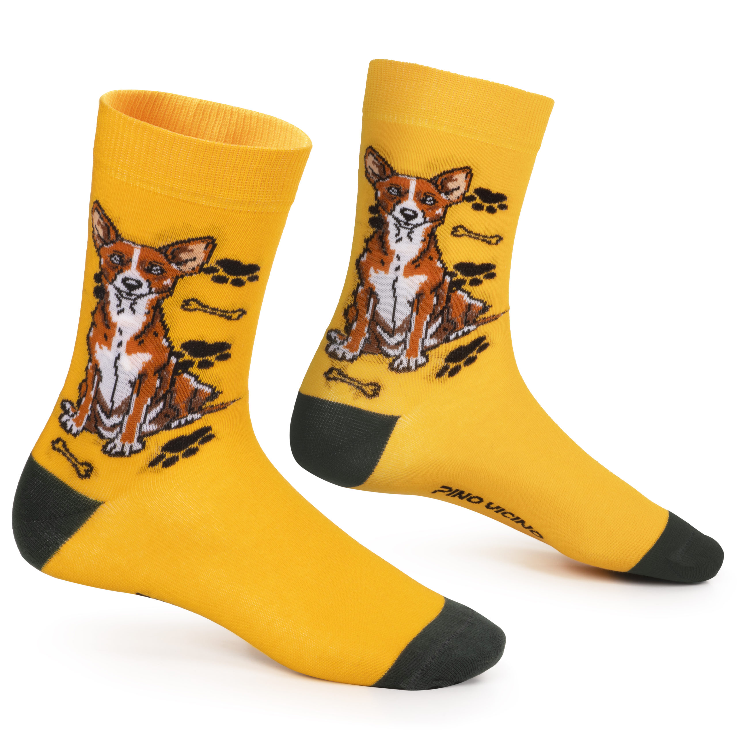 Skarpety w Pieski Rasa Basenji LONG