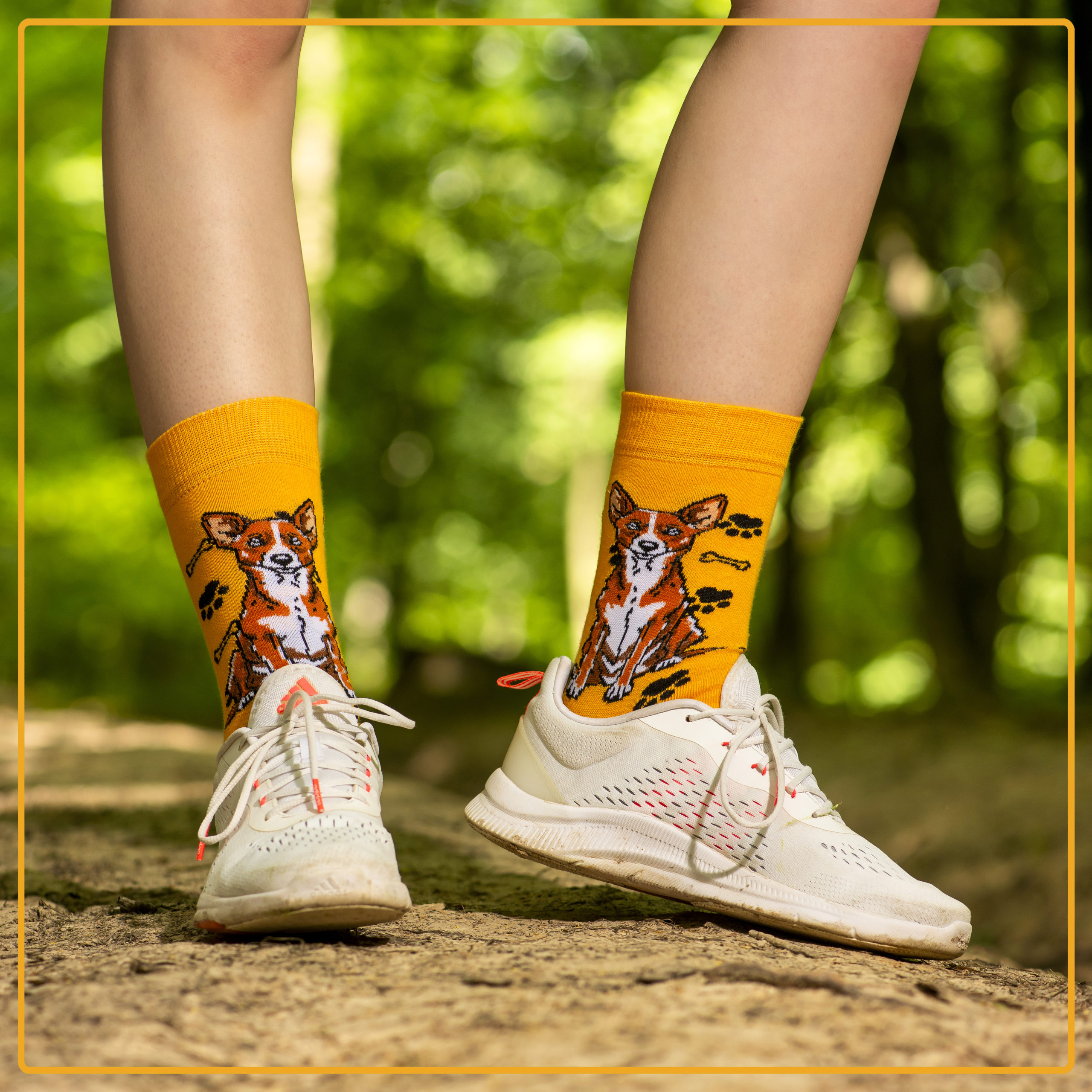 Skarpety w Pieski Rasa Basenji LONG - obrazek 4