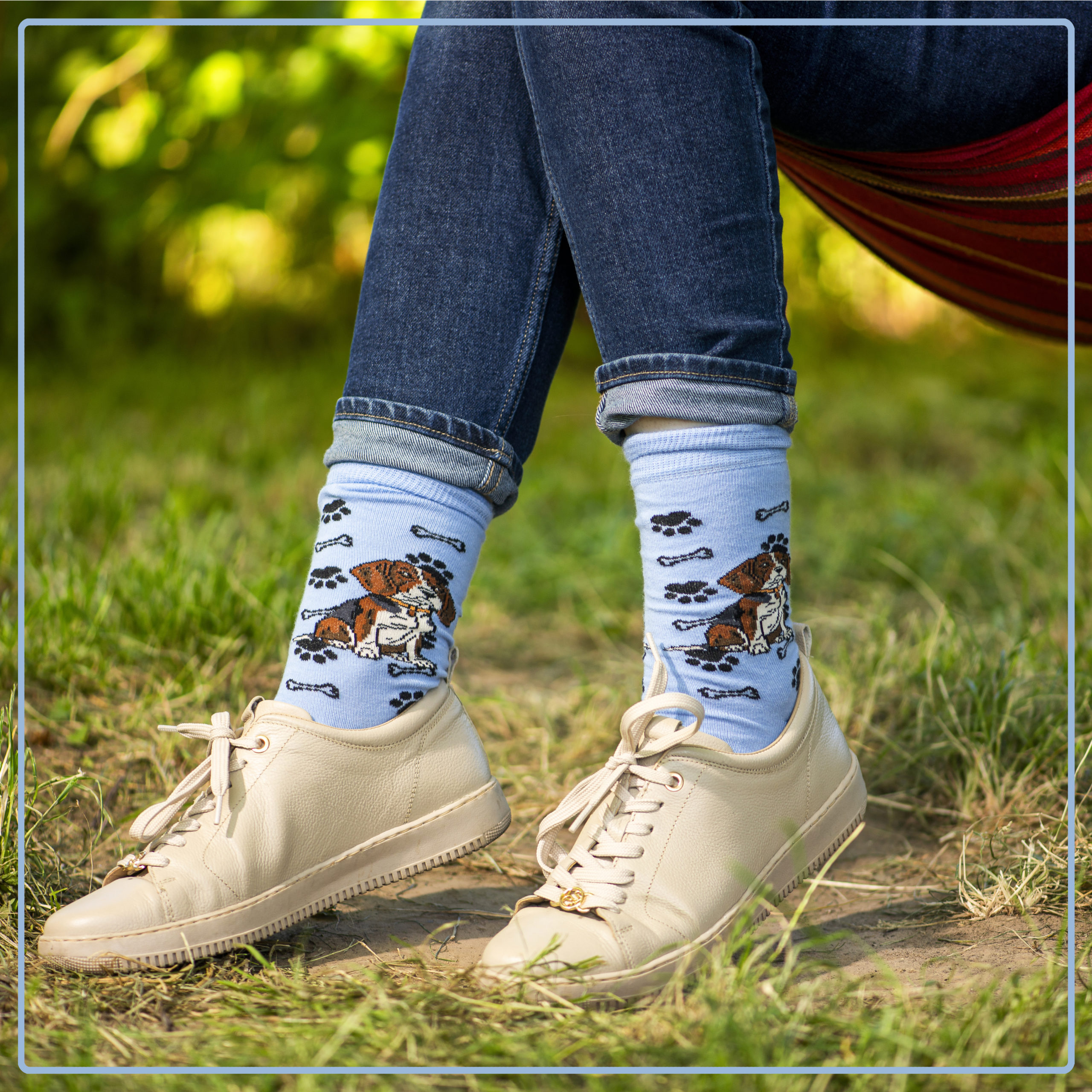 Skarpety w Pieski Rasa Beagle LONG - obrazek 9