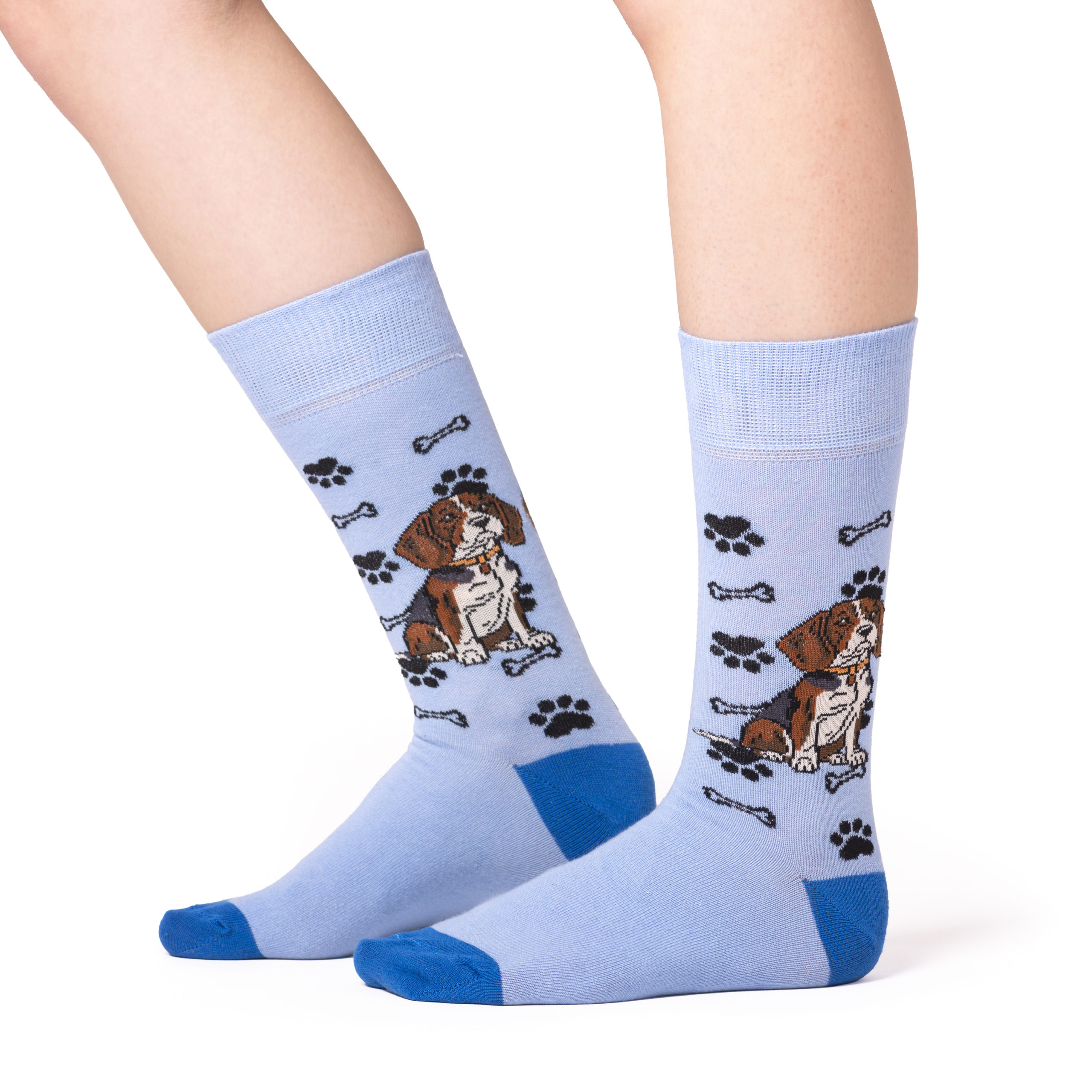 Skarpety w Pieski Rasa Beagle LONG - obrazek 12