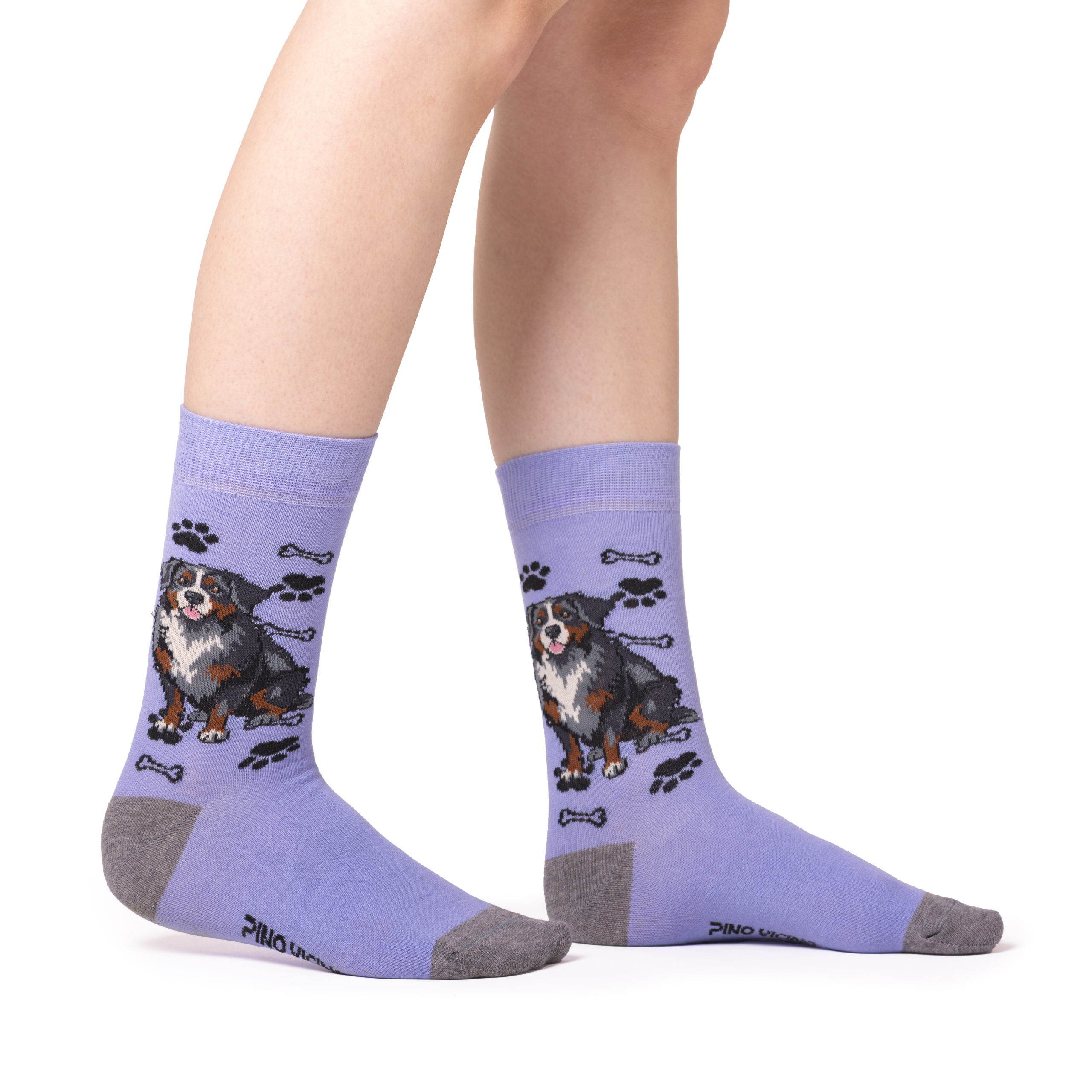 Skarpety w Pieski Rasa Berneński Pies Pasterski LONG - obrazek 2