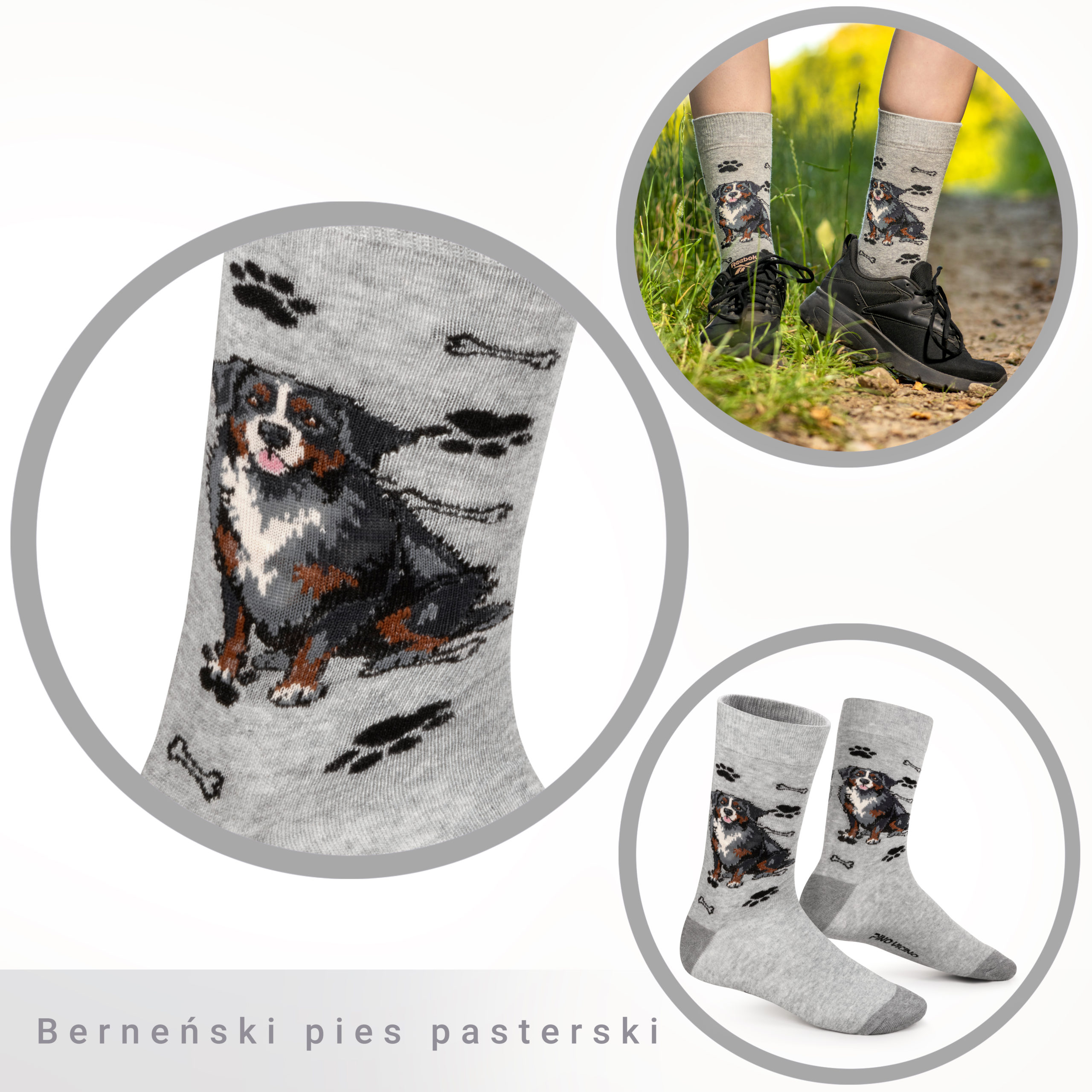 Skarpety w Pieski Rasa Berneński Pies Pasterski LONG - obrazek 12