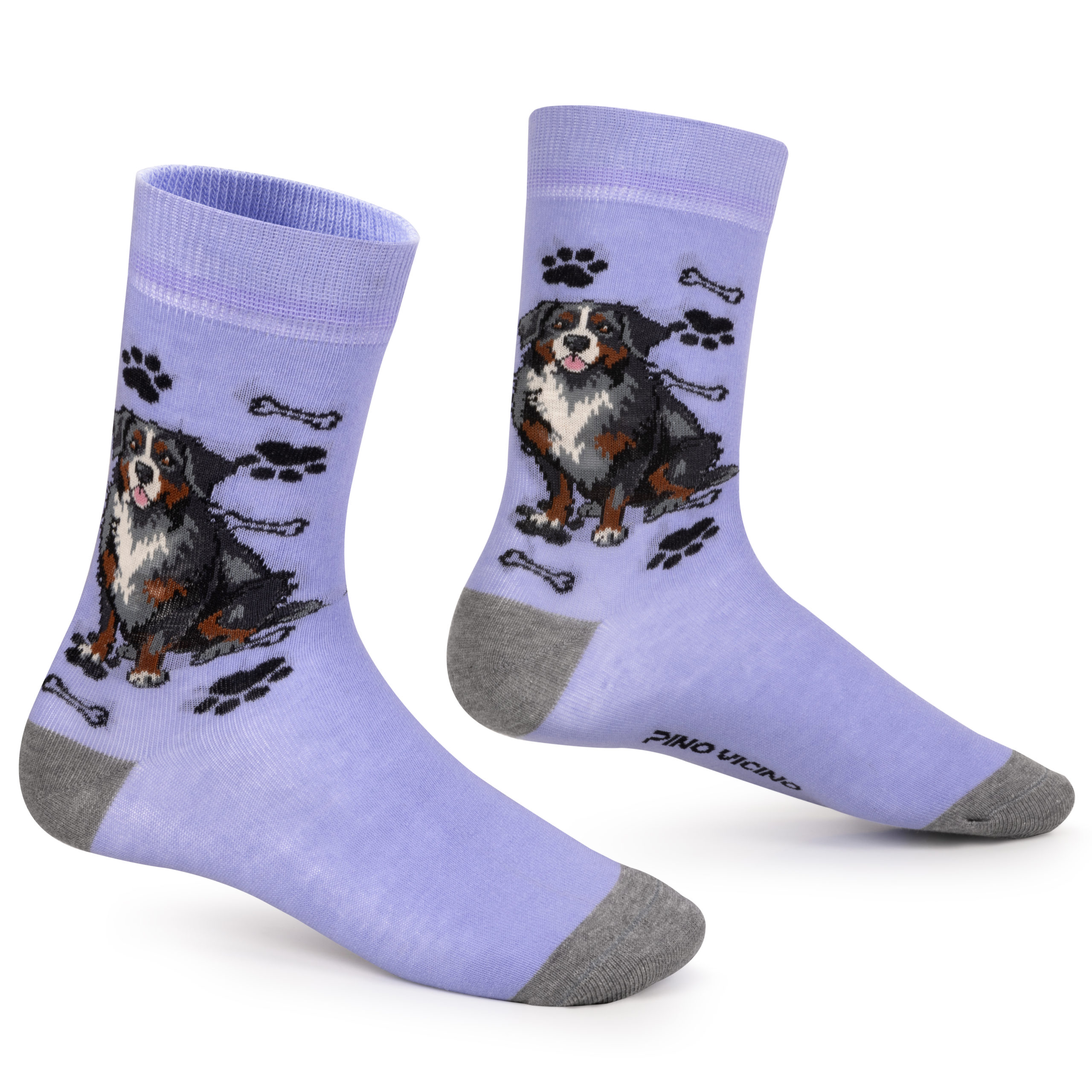 Skarpety w Pieski Rasa Berneński Pies Pasterski LONG