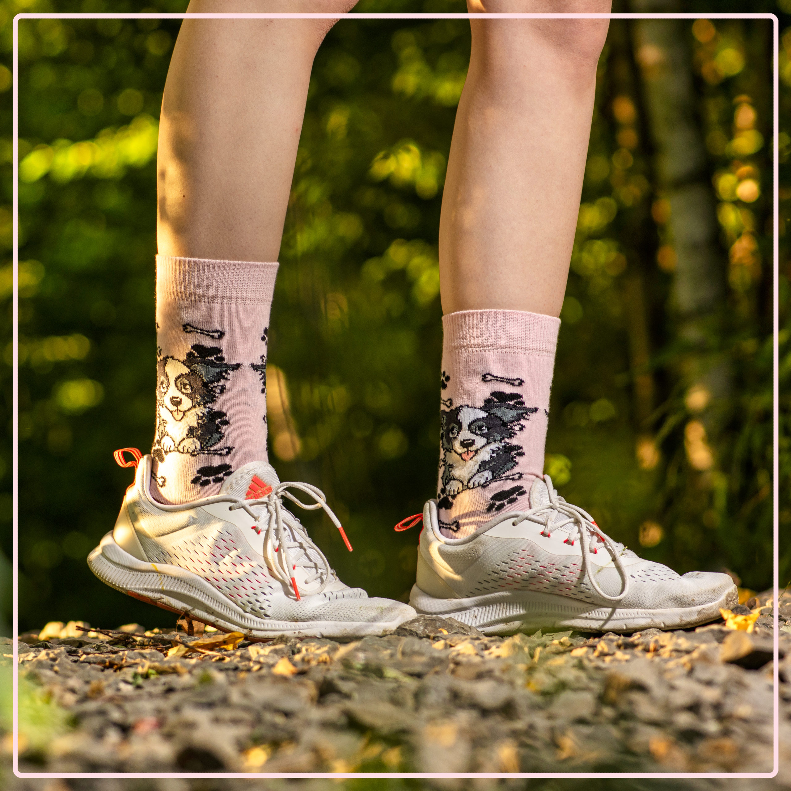 Skarpety w Pieski Rasa Border Collie LONG - obrazek 4