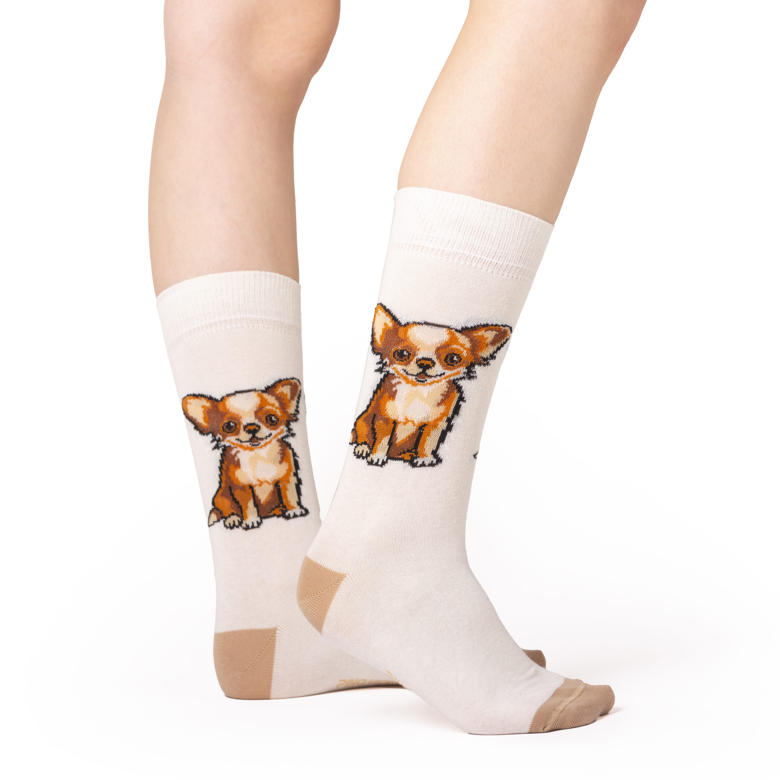 Skarpety w Pieski Rasa Chihuahua LONG - obrazek 4