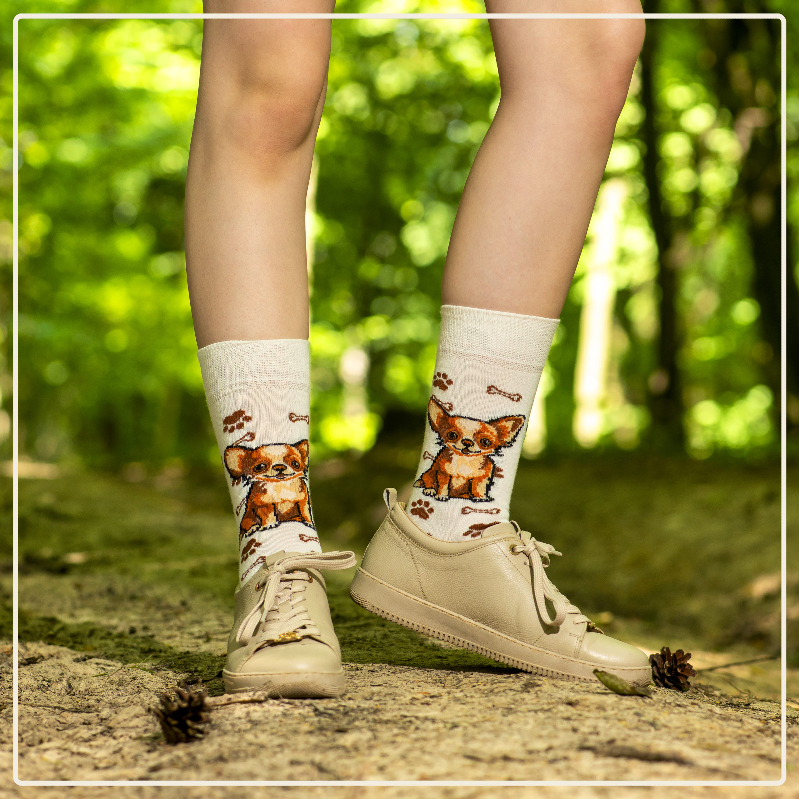 Skarpety w Pieski Rasa Chihuahua LONG - obrazek 8