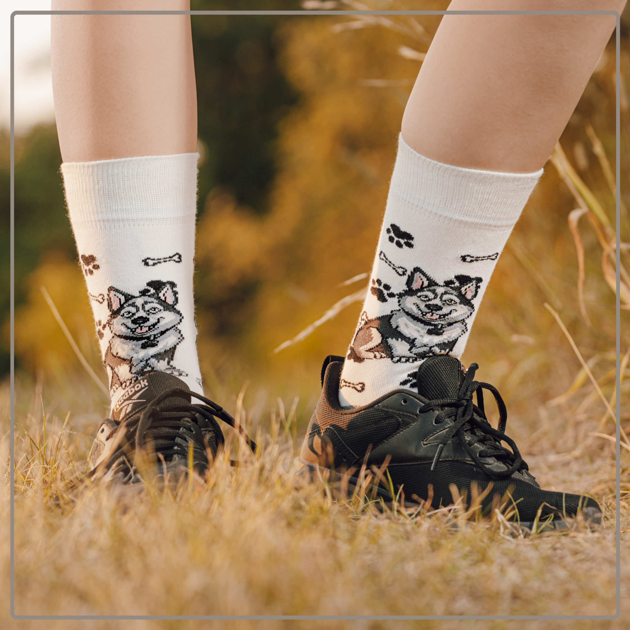 Skarpety w Pieski Rasa Husky LONG - obrazek 11