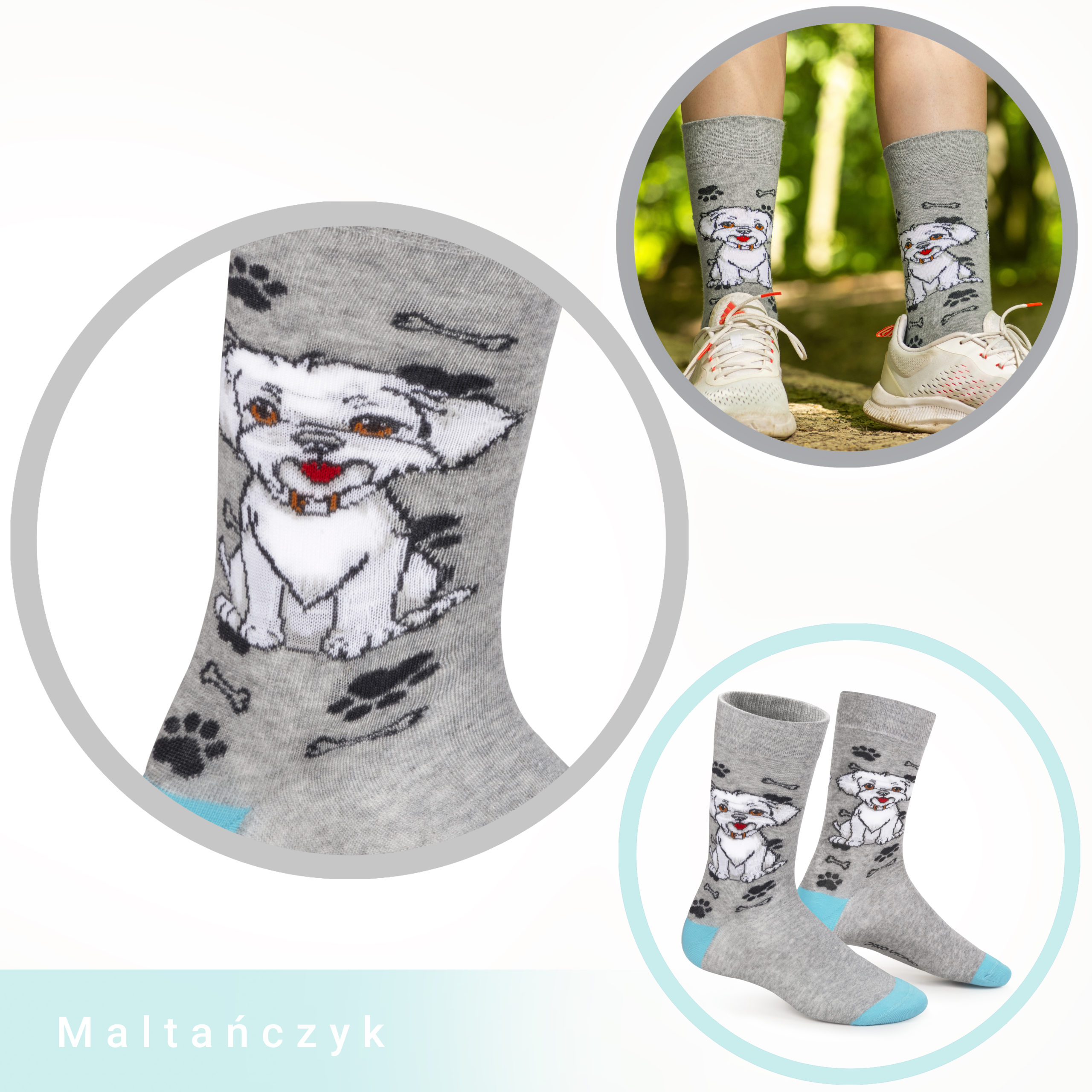 Skarpety w Pieski Rasa Maltańczyk LONG - obrazek 12