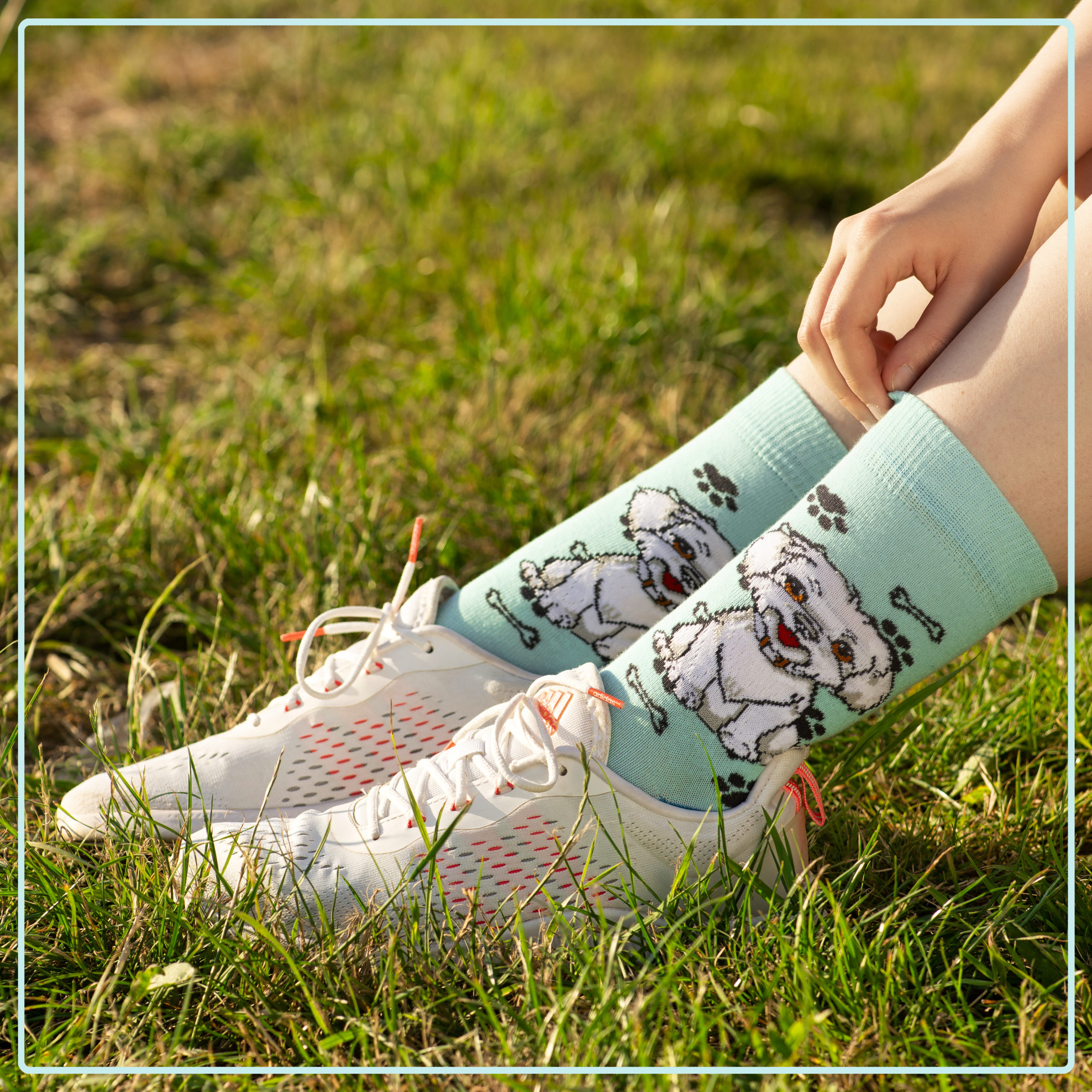 Skarpety w Pieski Rasa Maltańczyk LONG - obrazek 4