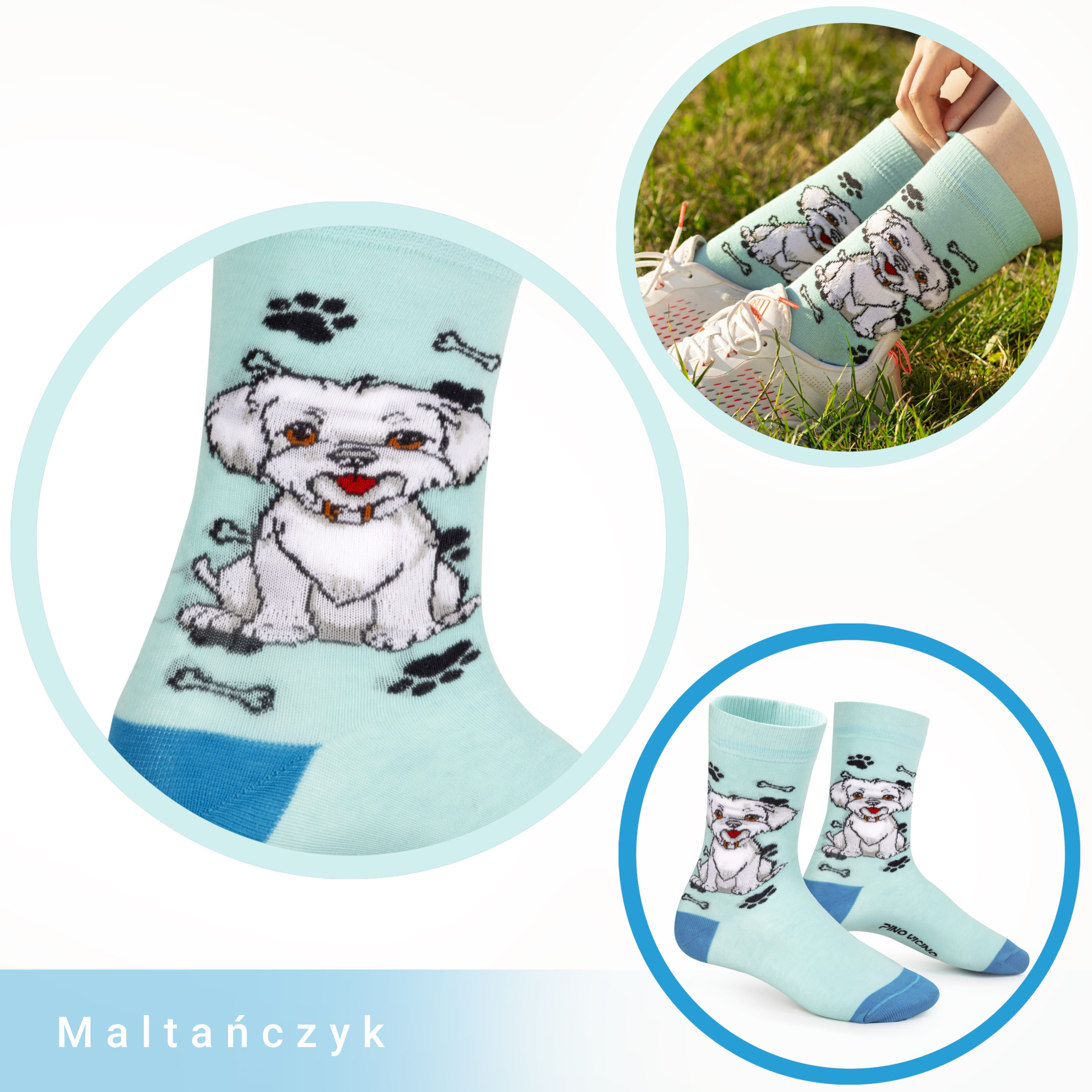 Skarpety w Pieski Rasa Maltańczyk LONG - obrazek 5