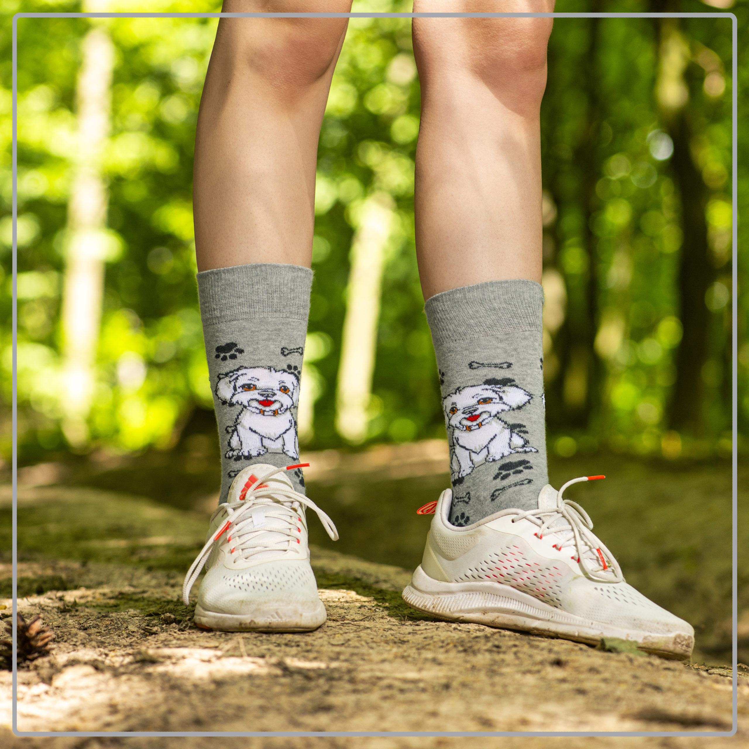 Skarpety w Pieski Rasa Maltańczyk LONG - obrazek 11