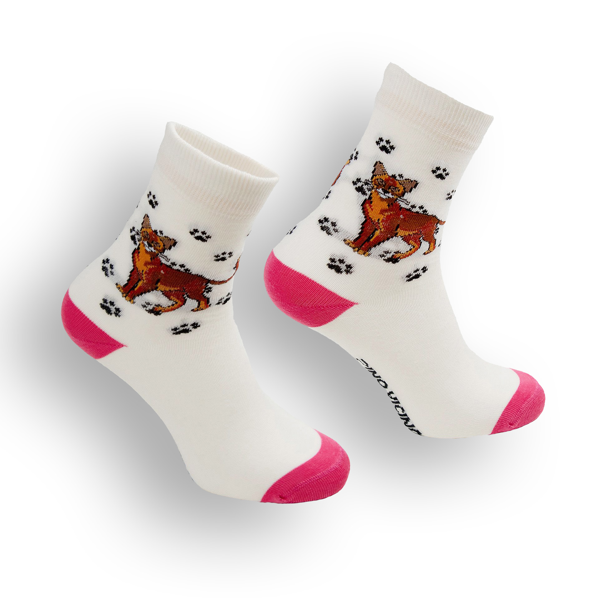 Skarpety w Koty Pino Vicino Rasa Abisyński LONG