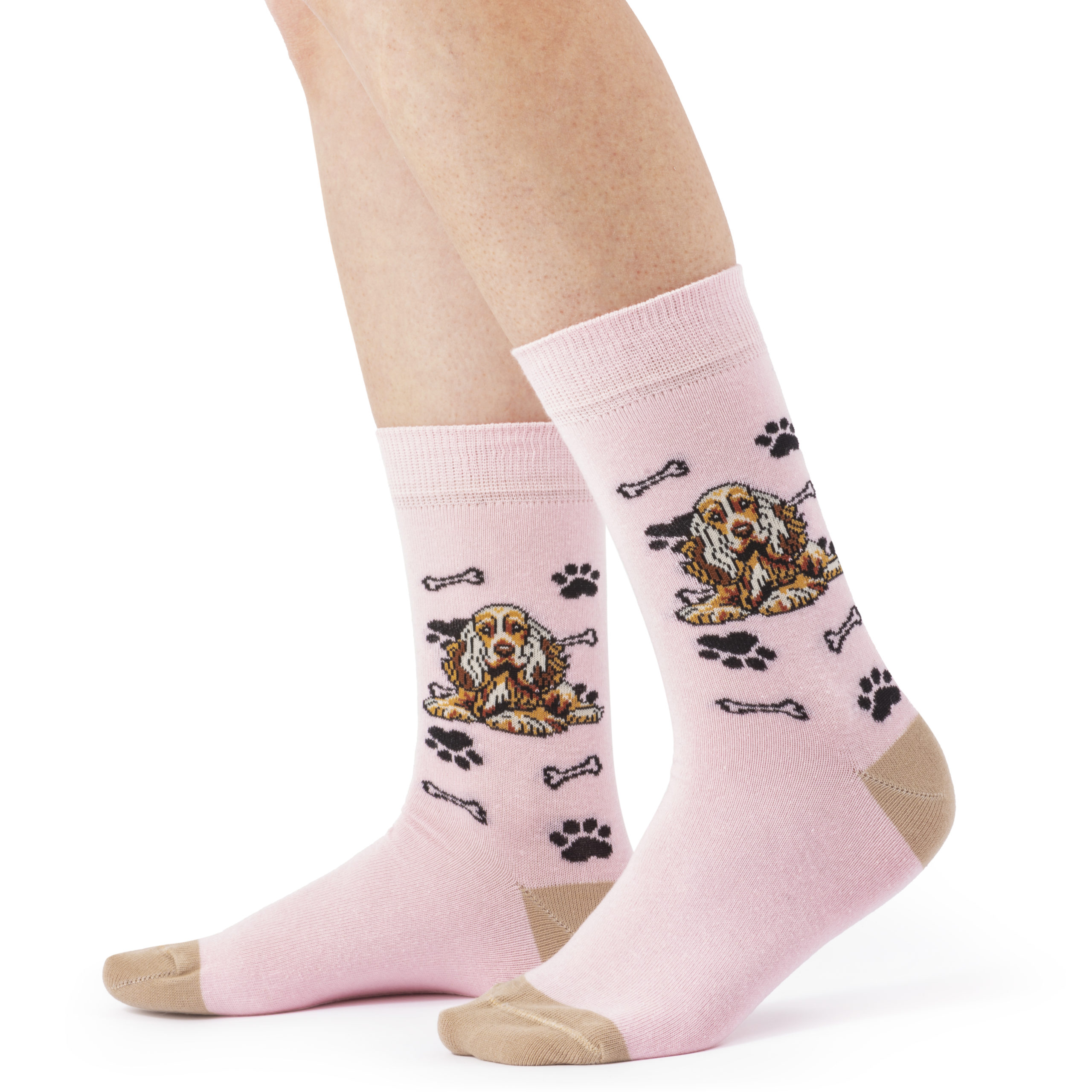 Skarpety w Pieski Rasa Cocker Spaniel Angielski LONG - obrazek 2