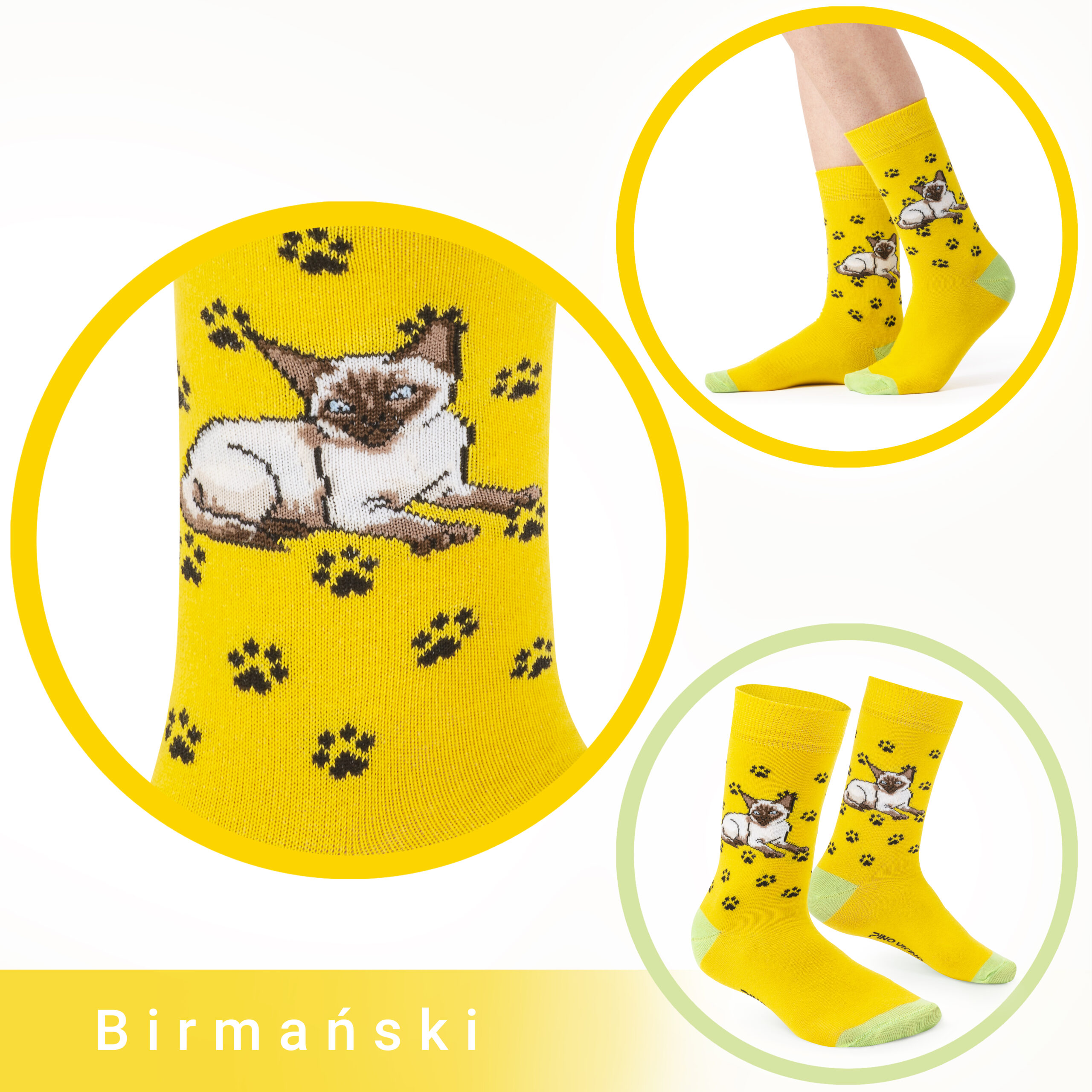 Skarpety w Koty Pino Vicino Rasa Święty Kot Birmański LONG - obrazek 3