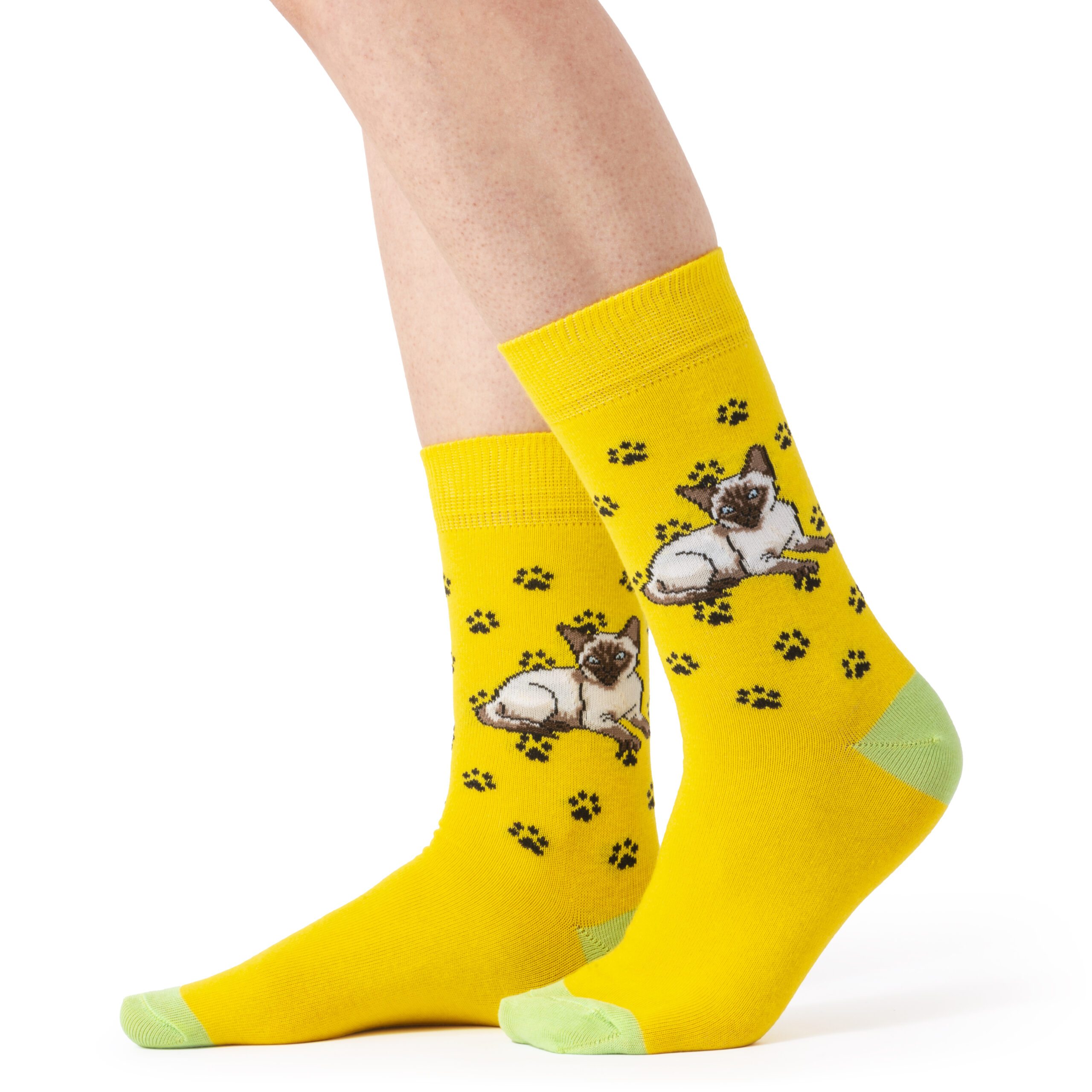 Skarpety w Koty Pino Vicino Rasa Święty Kot Birmański LONG - obrazek 2