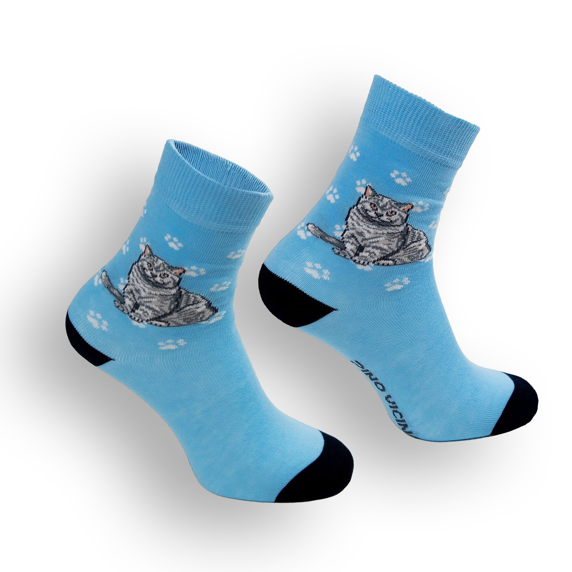 Skarpety w Koty Pino Vicino Rasa Brytyjski Krótkowłosy LONG - obrazek 4