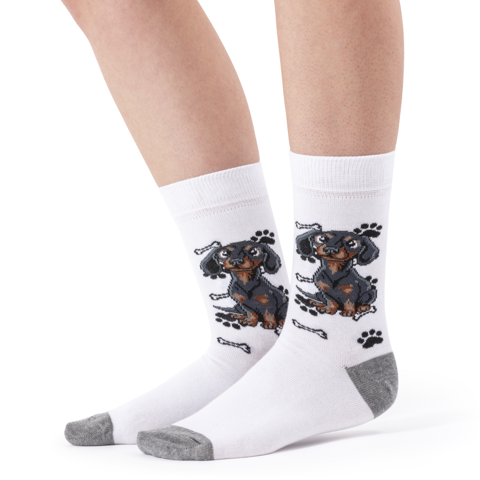 Skarpety w Pieski Rasa Jamnik LONG - obrazek 2