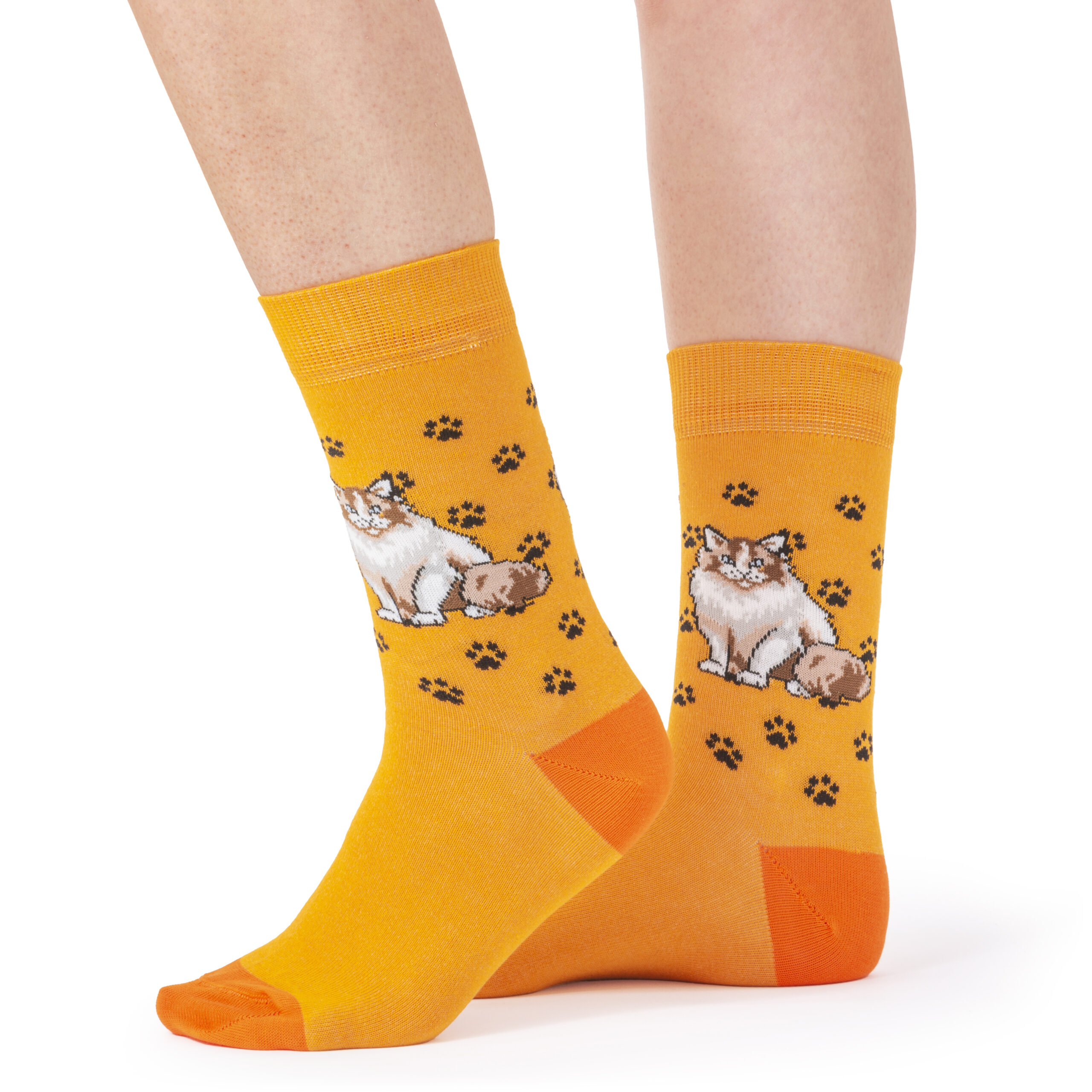 Skarpety Pino Vicino w Kotki Rasa Ragdoll Long - obrazek 2