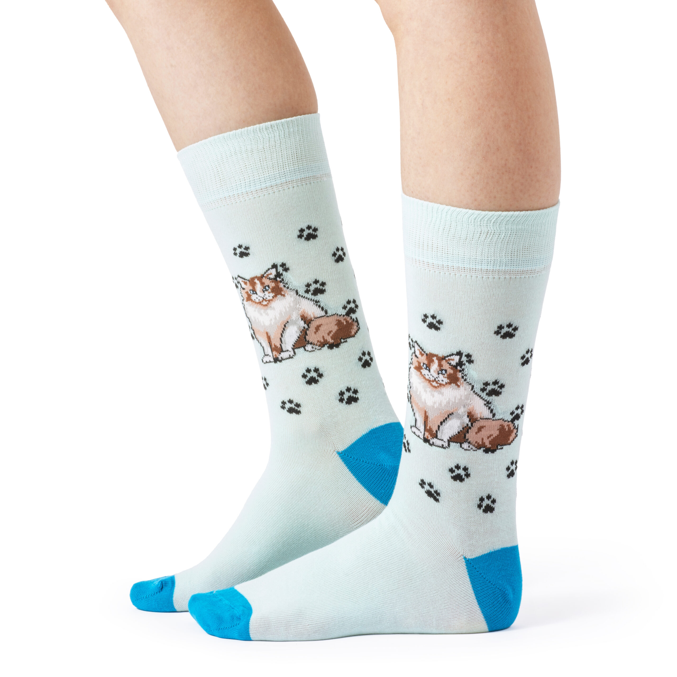 Skarpety Pino Vicino w Kotki Rasa Ragdoll Long - obrazek 8