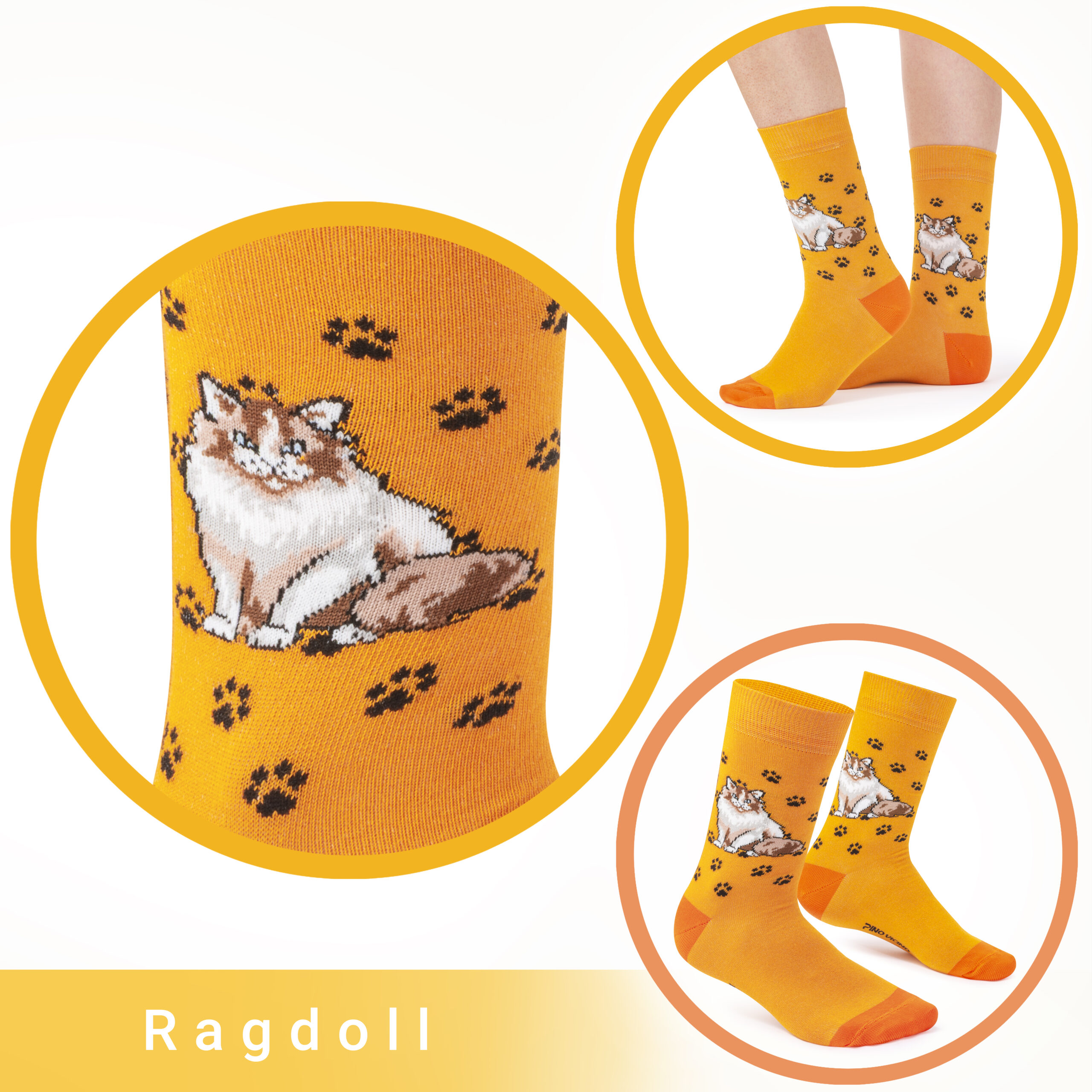 Skarpety Pino Vicino w Kotki Rasa Ragdoll Long - obrazek 4